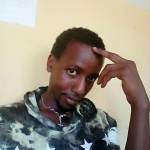 Teklemariam Tamiru Profile Picture